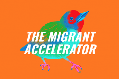 migrant accelerator